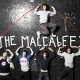 "Vad" lett a The Maccabees új albuma