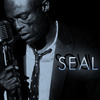 Seal: Soul (2008)